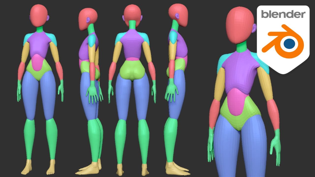 3Dスカルプトのための解剖学リファレンス画像